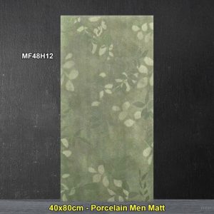 Gạch Ốp Trang Trí 40x80 Trung Quốc MF48H12