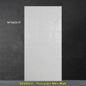 Gạch Ốp Trang Trí 40x80 Trung Quốc NF48Z01F