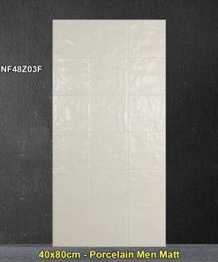 Gạch Ốp Trang Trí 40x80 Trung Quốc NF48Z03F