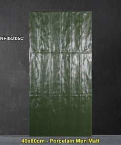 Gạch Ốp Trang Trí 40x80 Trung Quốc NF48Z05C
