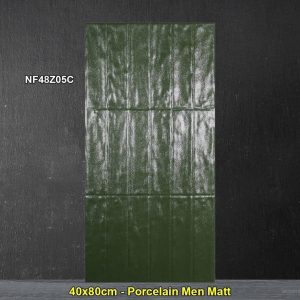 Gạch Ốp Trang Trí 40x80 Trung Quốc NF48Z05C