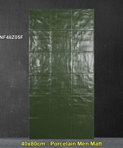 Gạch Ốp Trang Trí 40x80 Trung Quốc NF48Z05F
