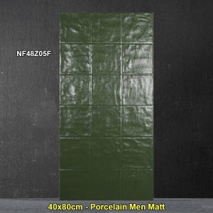 Gạch Ốp Trang Trí 40x80 Trung Quốc NF48Z05F