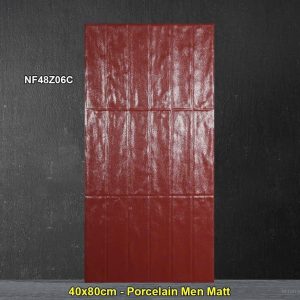 Gạch Ốp Trang Trí 40x80 Trung Quốc NF48Z06C