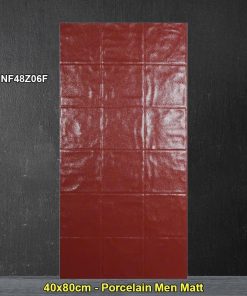 Gạch Ốp Trang Trí 40x80 Trung Quốc NF48Z06F