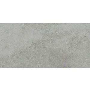 Gạch Taicera 60x120 mã G12528JDD