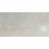 Gạch Taicera 60x120 mã G12845