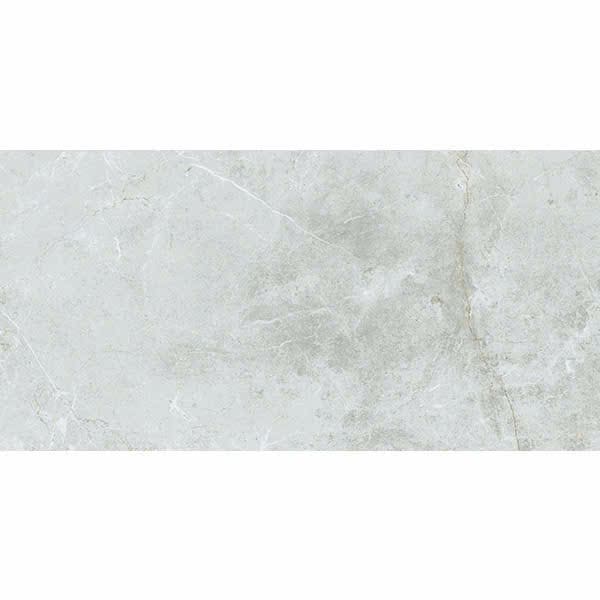 Gạch Taicera 60x120 mã G12848