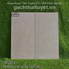 Gạch Taicera 30x60 mã G63P23JM