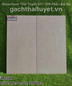 Gạch Taicera 30x60 mã G63P23JM