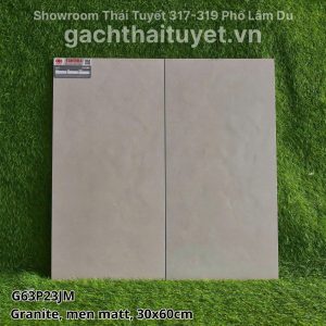 Gạch Taicera 30x60 mã G63P23JM