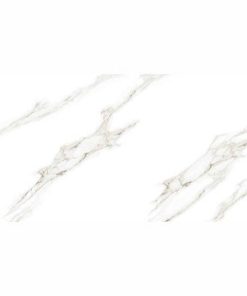 Gạch Taicera 60x120 mã GP12022