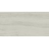 Gạch Taicera 60x120 mã GP1208