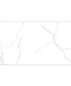 Gạch Taicera 60x120 mã GP12085