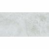 Gạch Taicera 60x120 mã GP12848