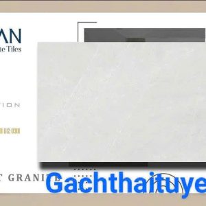 Gạch Thạch bàn 60x120 mã TGB 6120301vvvv