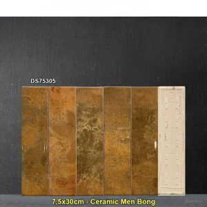 Gạch Thẻ 7,5x30 Trang Trí Việt Nam DS75305