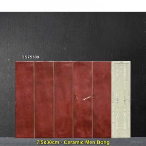 Gạch Thẻ 7,5x30 Trang Trí Việt Nam DS75309