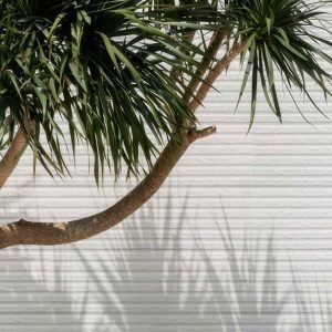 Gạch Thẻ Trang Trí 15x50 Việt Nhật E