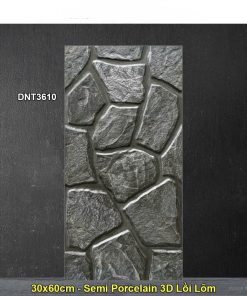 Gạch Thẻ Trang Trí 30x60 Dacera DNT3610