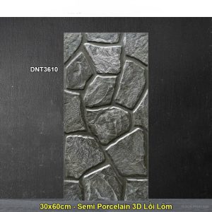 Gạch Thẻ Trang Trí 30x60 Dacera DNT3610