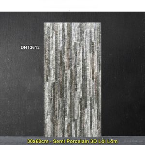Gạch Thẻ Trang Trí 30x60 Dacera DNT3613