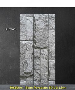 Gạch Thẻ Trang Trí 30x60 Dacera RLT3601