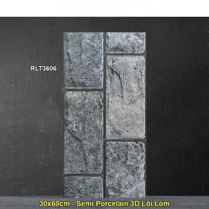 Gạch Thẻ Trang Trí 30x60 Dacera RLT3606