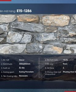 Gạch Trang Trí 30x60 Ấn Độ Novocera mã E15-1286 Men Decor