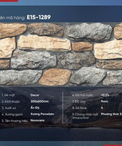 Gạch Trang Trí 30x60 Ấn Độ Novocera mã E15-1289 Men Decor