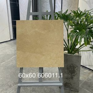 Gạch Trung Quốc 60x60 mã 606011.1 Men Matt