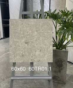 Gạch Trung Quốc 60x60 mã 60TR01.1 Men Matt