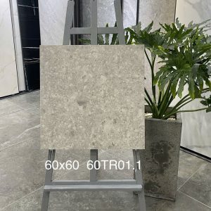 Gạch Trung Quốc 60x60 mã 60TR01.1 Men Matt
