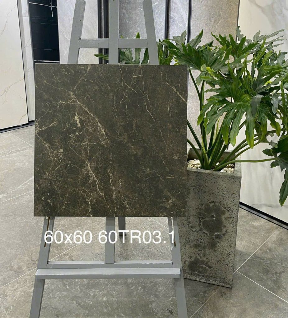 Gạch Trung Quốc 60x60 mã 60TR03.1 Men Matt