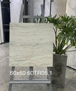Gạch Trung Quốc 60x60 mã 60TR05.1 Men Matt