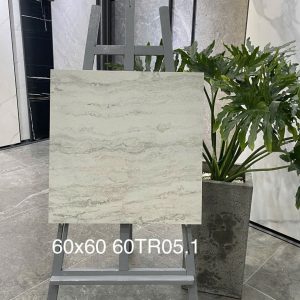 Gạch Trung Quốc 60x60 mã 60TR05.1 Men Matt