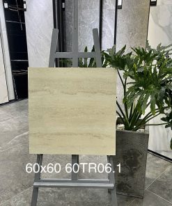 Gạch Trung Quốc 60x60 mã 60TR06.1 Men Matt