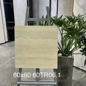 Gạch Trung Quốc 60x60 mã 60TR06.1 Men Matt