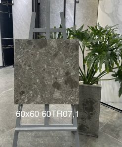Gạch Trung Quốc 60x60 mã 60TR07.1 Men Matt