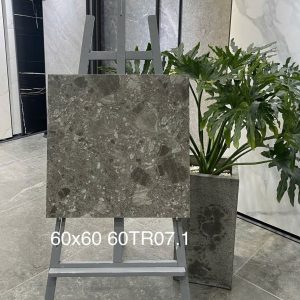 Gạch Trung Quốc 60x60 mã 60TR07.1 Men Matt