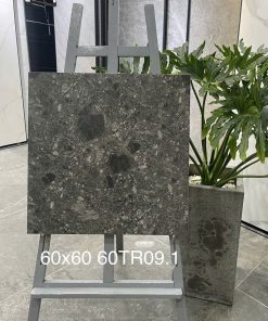 Gạch Trung Quốc 60x60 mã 60TR09.1 Men Matt