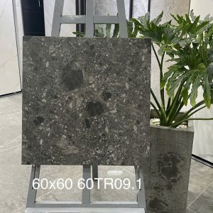 Gạch Trung Quốc 60x60 mã 60TR09.1 Men Matt