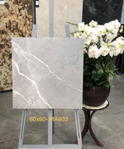 Gạch Trung Quốc 60x60 mã MA603 Men Matt