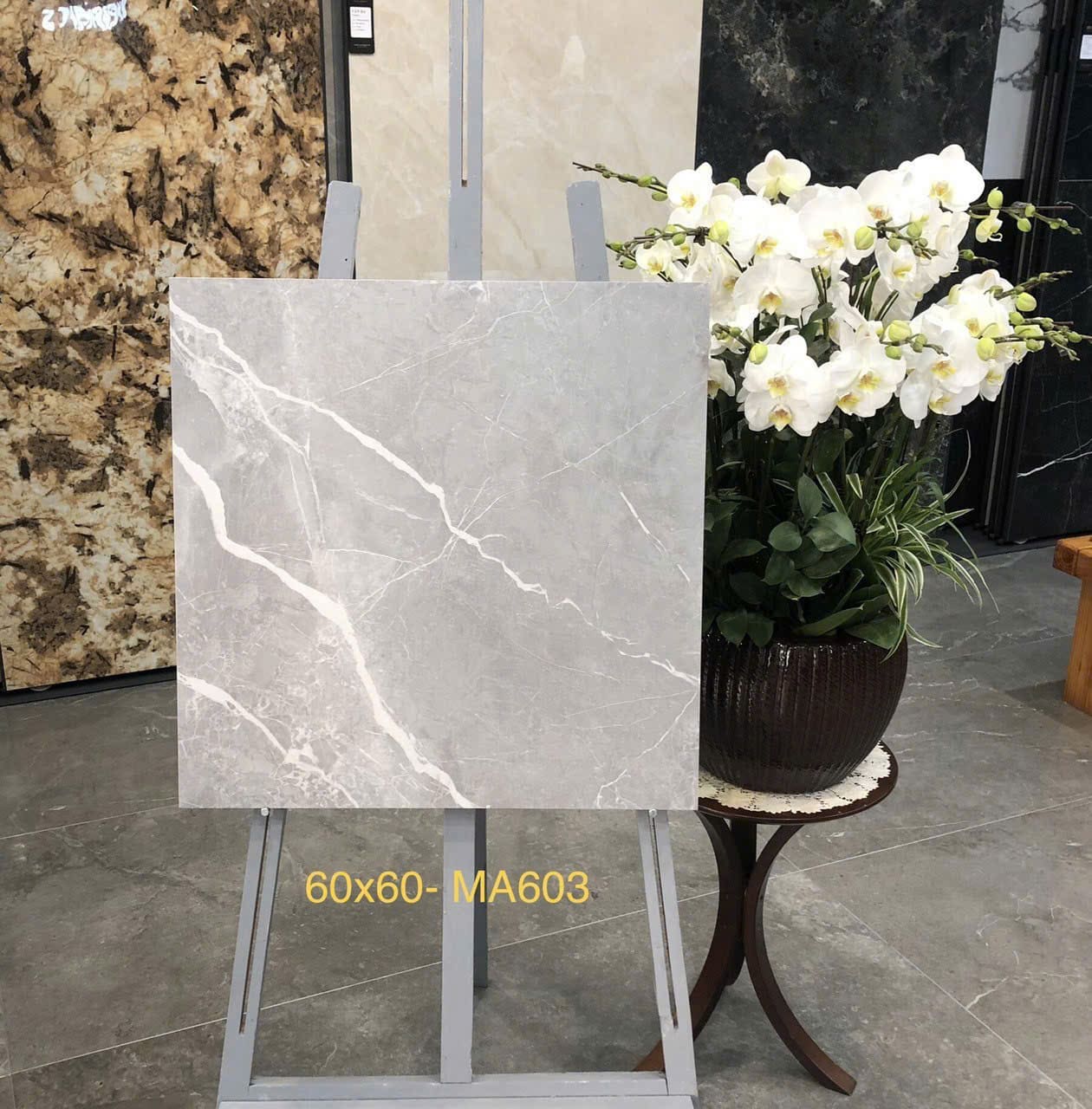 Gạch Trung Quốc 60x60 mã MA603 Men Matt