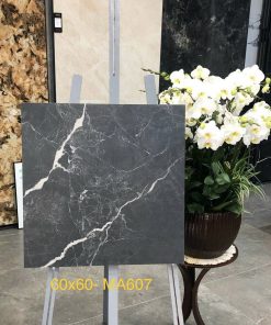 Gạch Trung Quốc 60x60 mã MA607 Men Matt