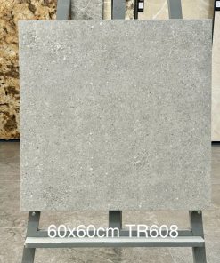 Gạch Trung Quốc 60x60 mã TR608 Men Matt