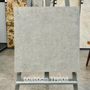 Gạch Trung Quốc 60x60 mã TR608 Men Matt