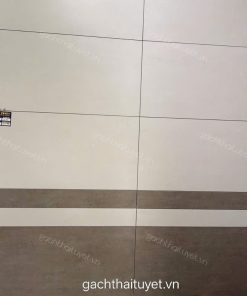 Gạch Vitto 30x60 mã 26514-16