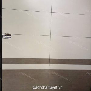 Gạch Vitto 30x60 mã 26514-16