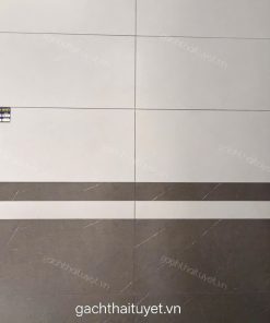 Gạch Vitto 30x60 mã HV268170